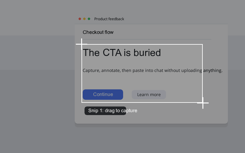 Snip Pilot demo: snip, annotate, paste